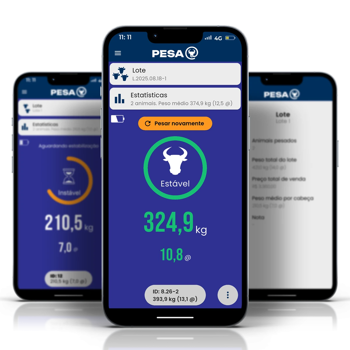 Software de pesaje Pesa@